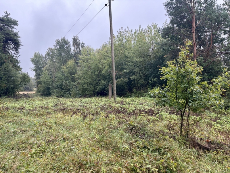 invazīvo sugu izskaušana
