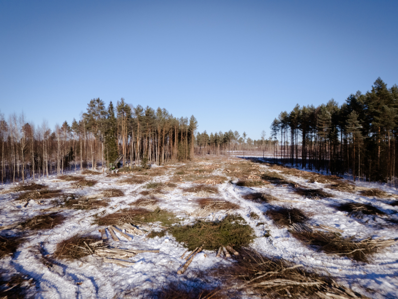 Rail Baltica teritorijas atmežošana