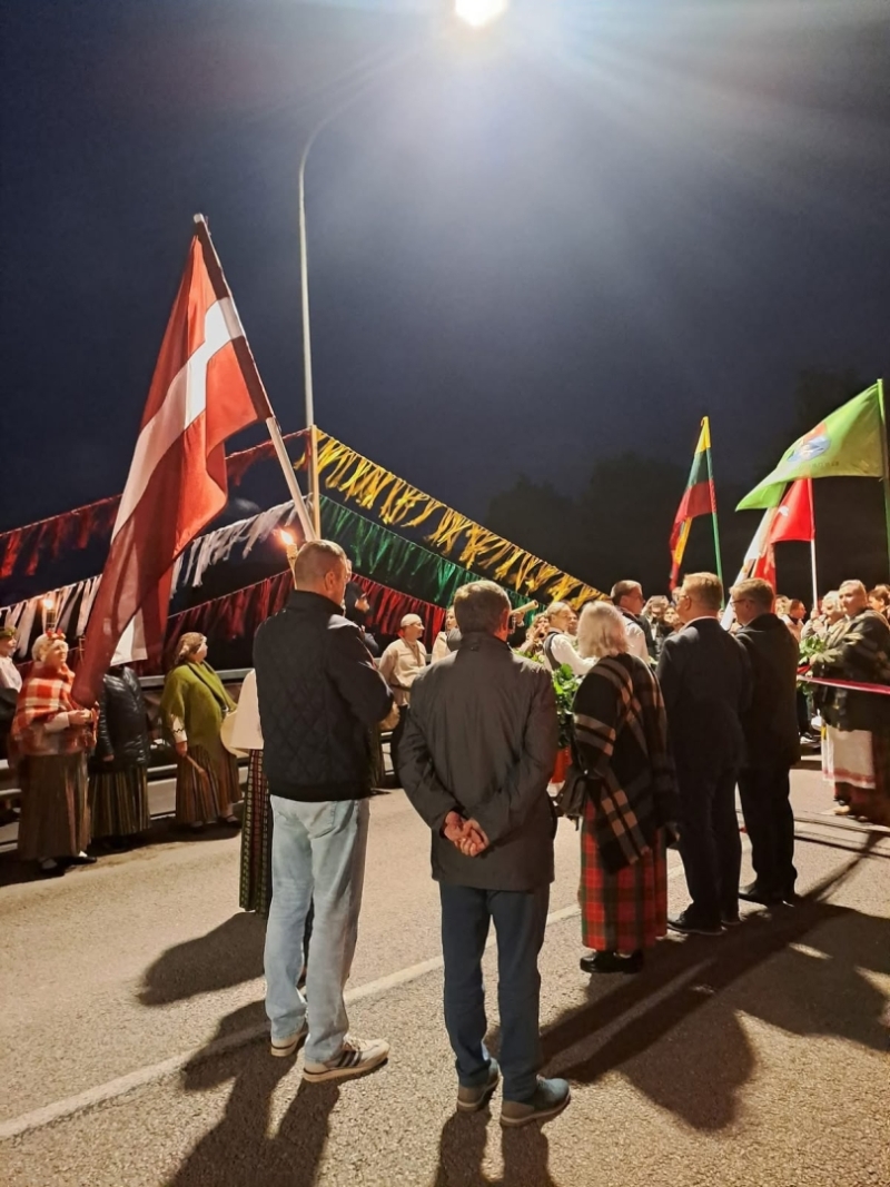 Baltu vienības diena