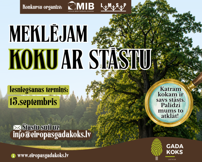 Koks ar stāstu