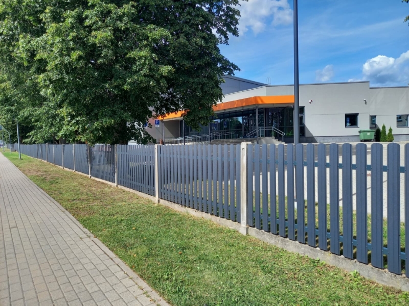 Jaunais žogs pie skolas