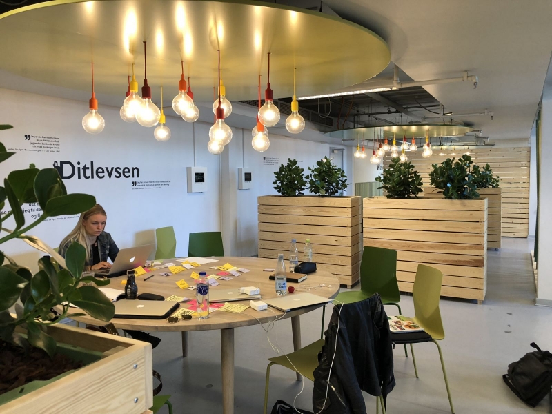 3_Copenhagen_main_library%20(77).JPG