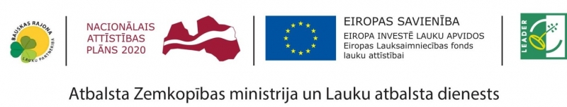 LEADER_ELFLA_logo(7).jpg