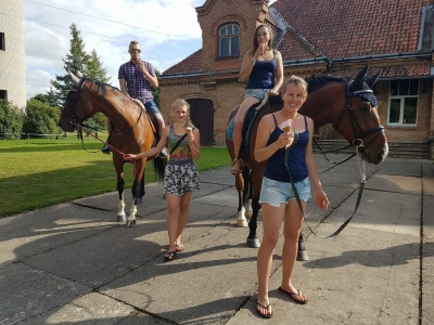 biedrība «dārtes zirgi»