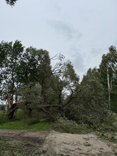 23.augusta vētras postījumi