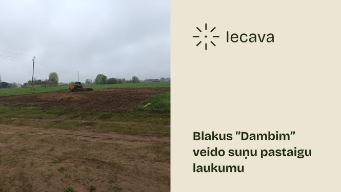 Sāk būvēt suņu laukumu Iecavā
