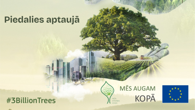 3 miljardi koku