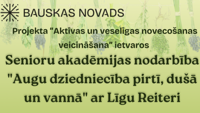 Senioru akadēmija