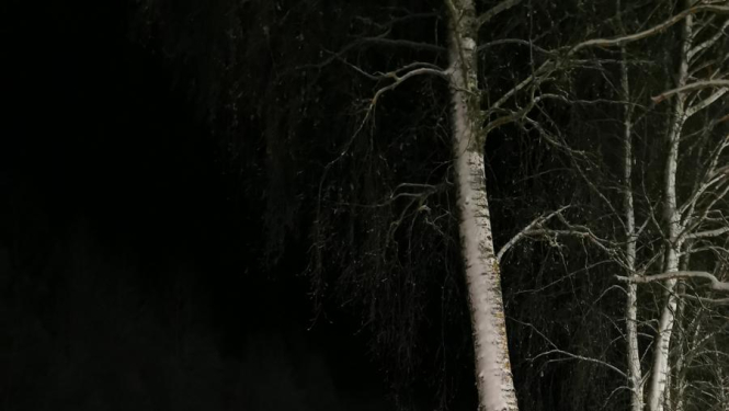 Vecumniekos izveidota distanču slēpošanas trase