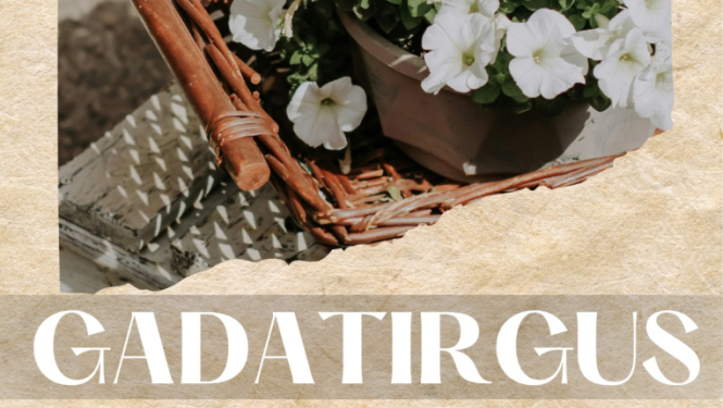 Gadatirgus