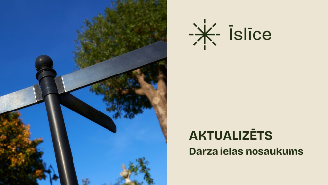 bilde