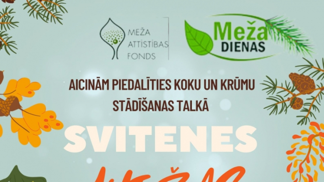 talka
