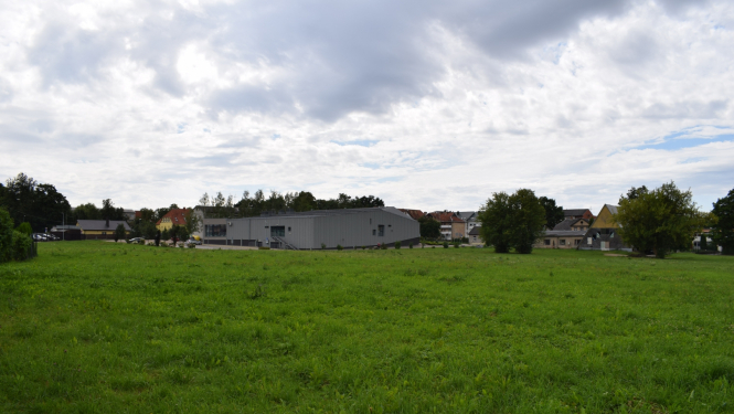 pļava