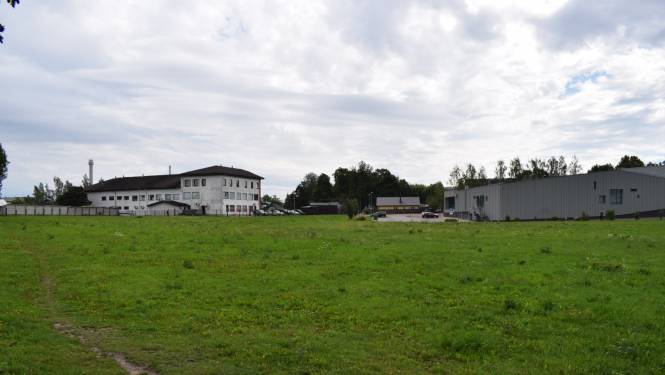 pļava