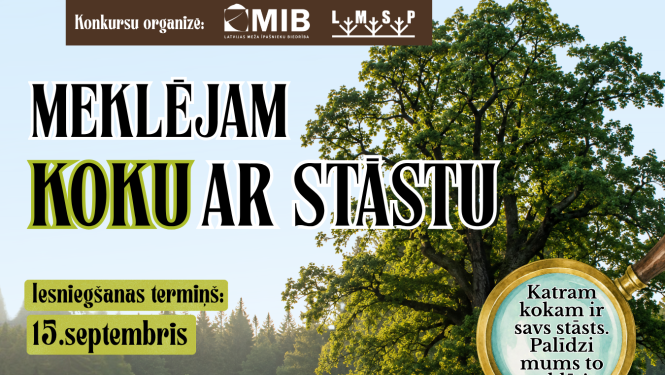 Koks ar stāstu