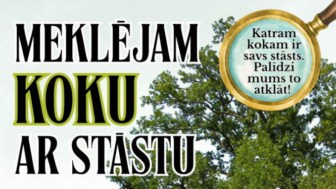 Koks ar stāstu