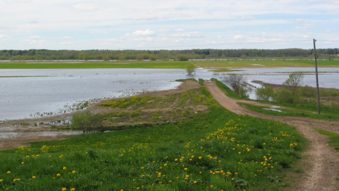 Applūdis lauks