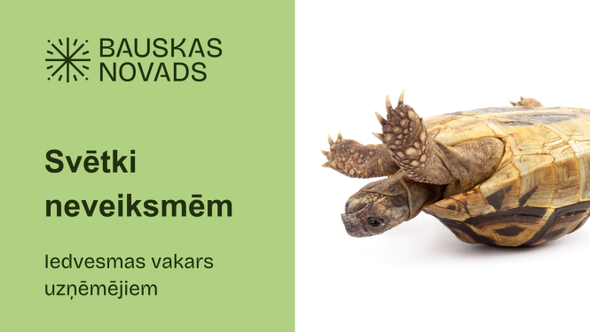 Neveiksmes 21-11