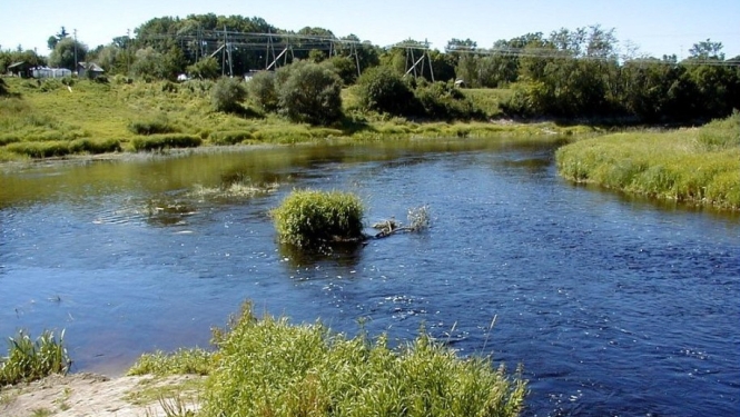 gar Lielupi