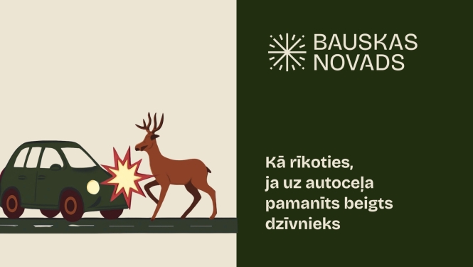 Kā rīkoties, ja uz autoceļa pamanīts beigts dzīvnieks