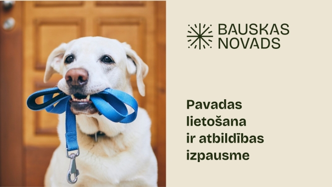 Pavada - suņa drošības josta
