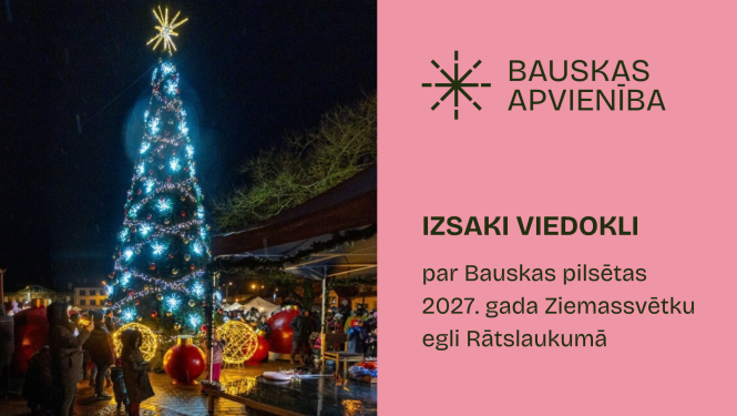 aptauja par ziemassvētku egli