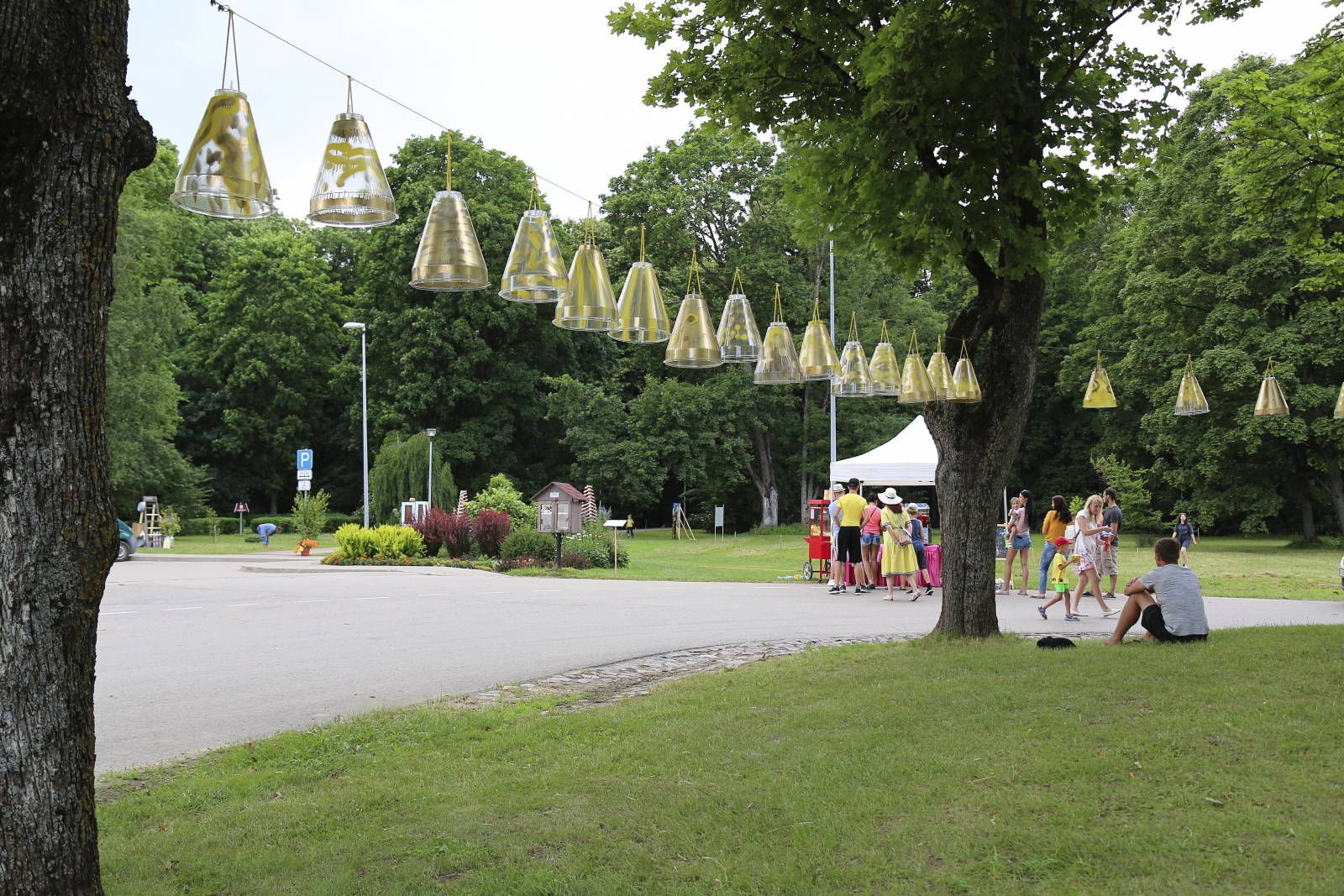 Iecavas pilsētas svētki (25)