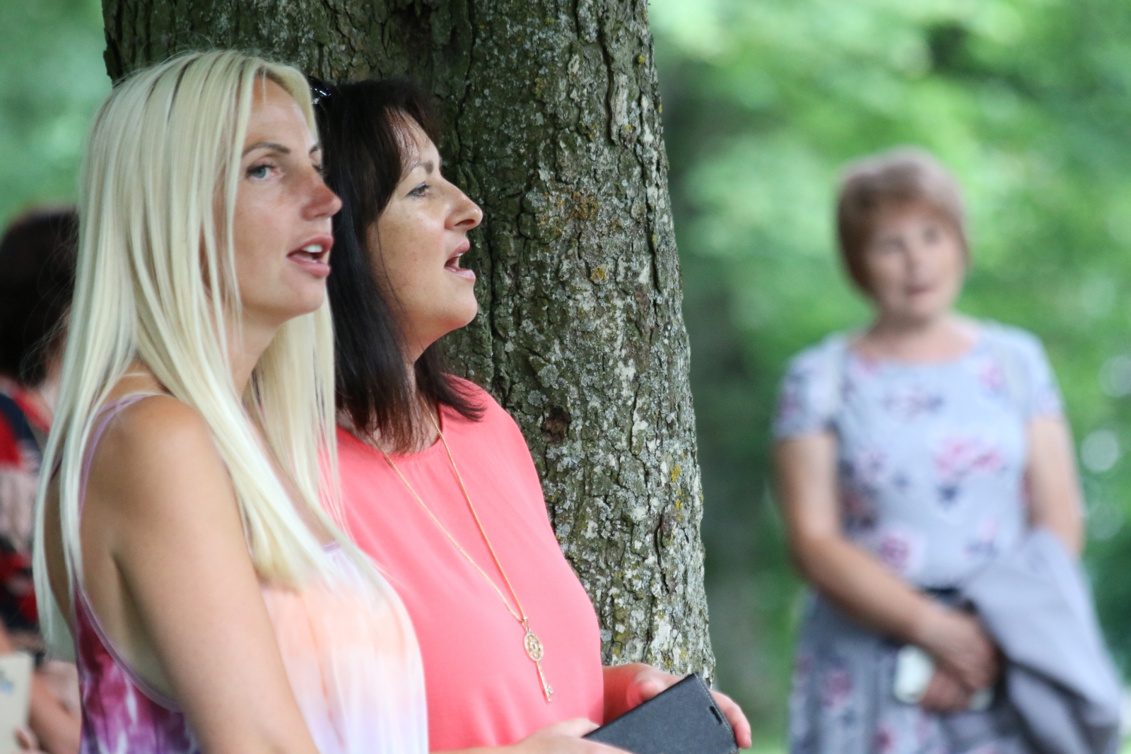 Iecavas pilsētas svētki (31)