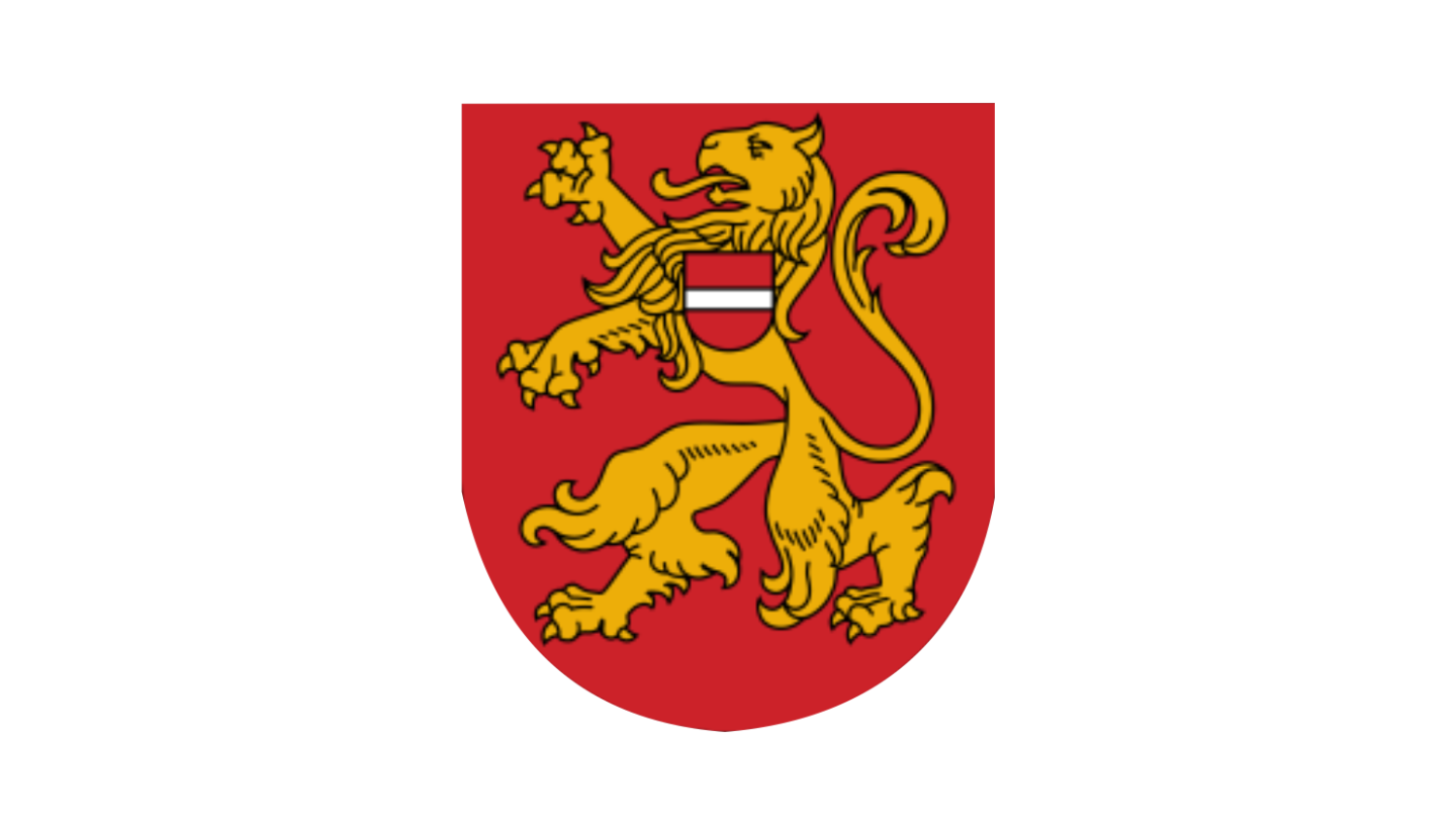 Bauskas pilsētas
