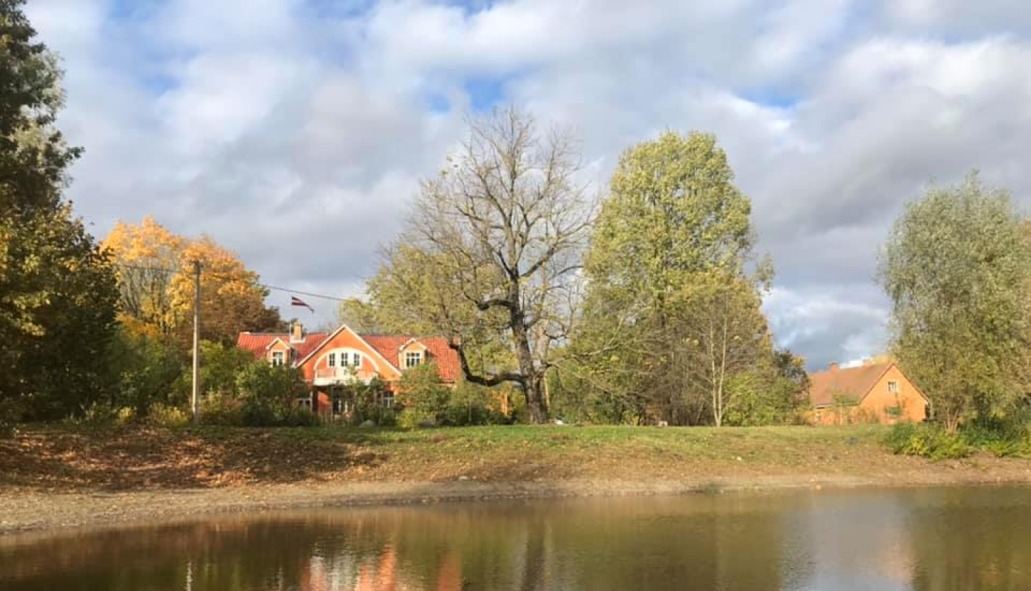 Billītes