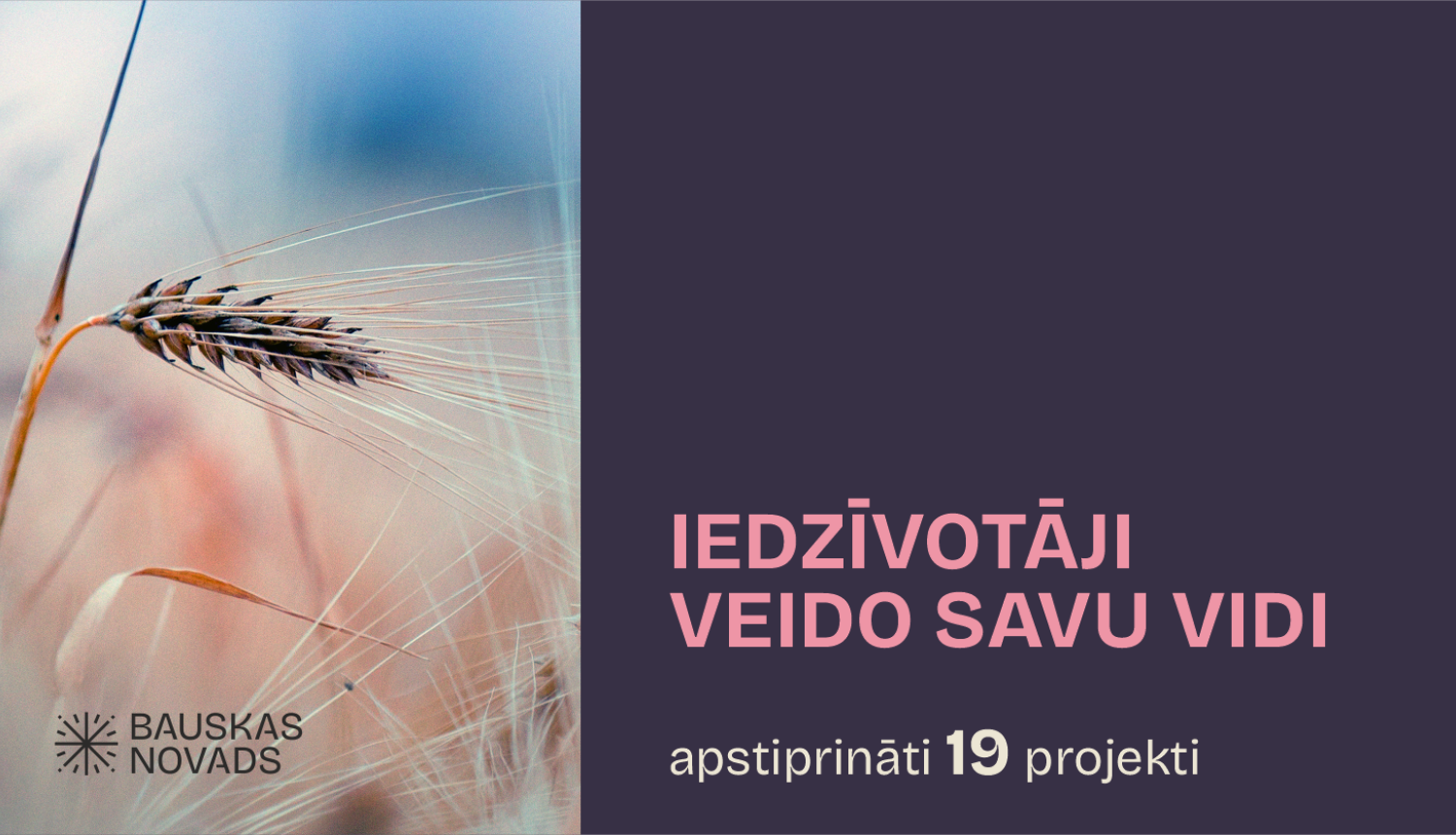 veido savu vidi