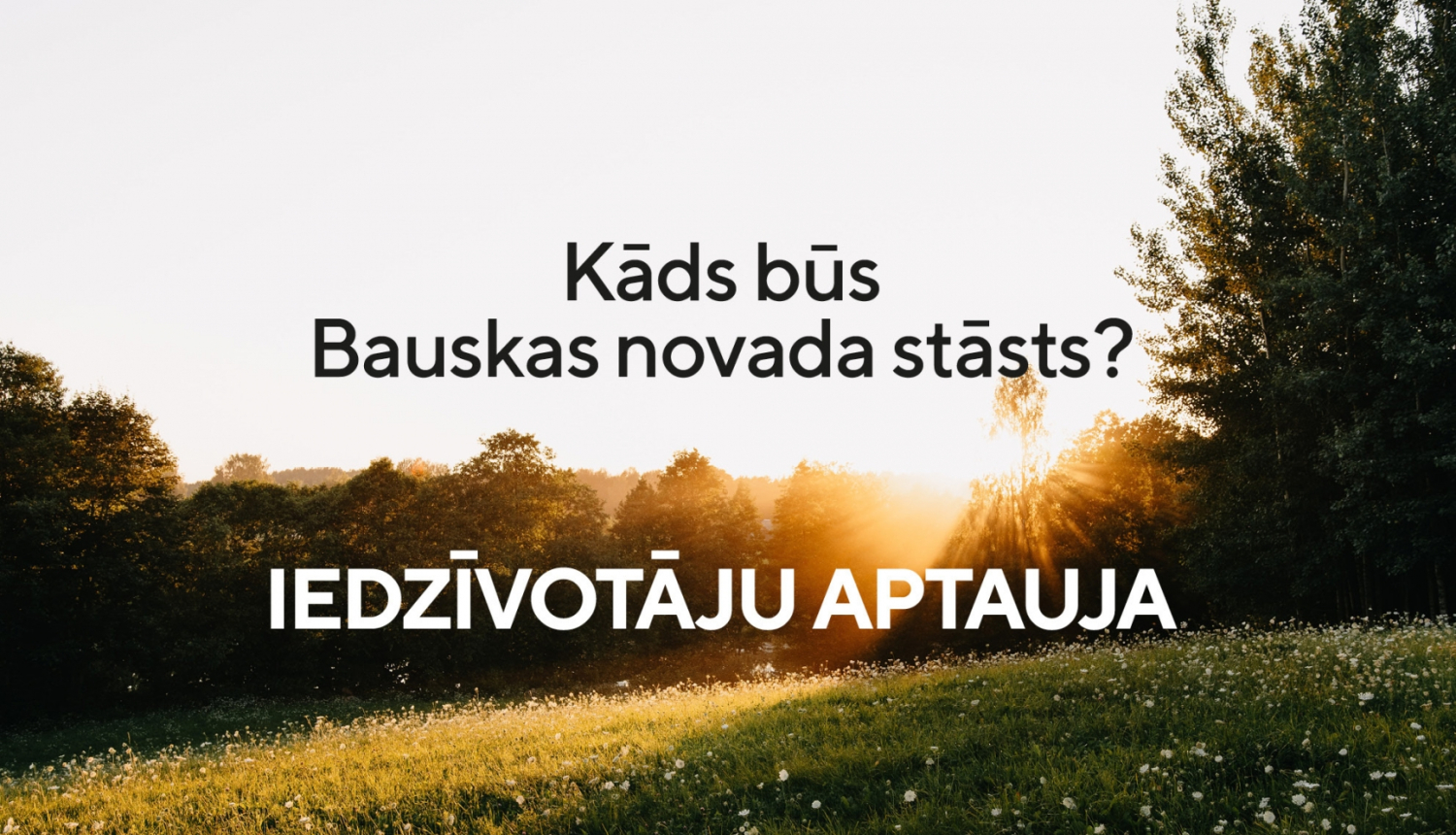 identitate
