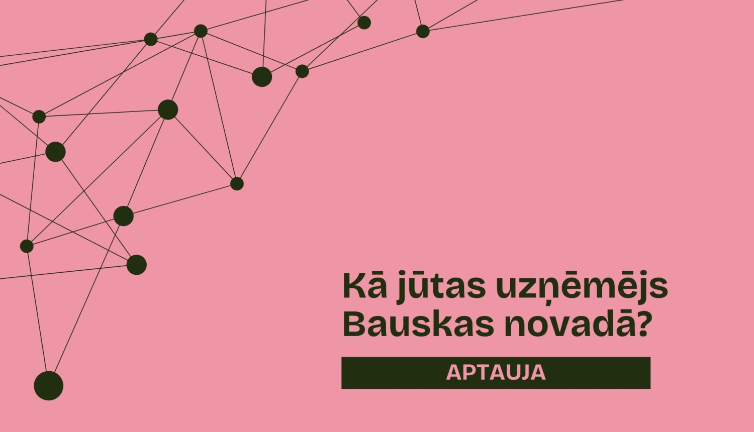 Kā jūtas uzņēmējs Bauskas novadā
