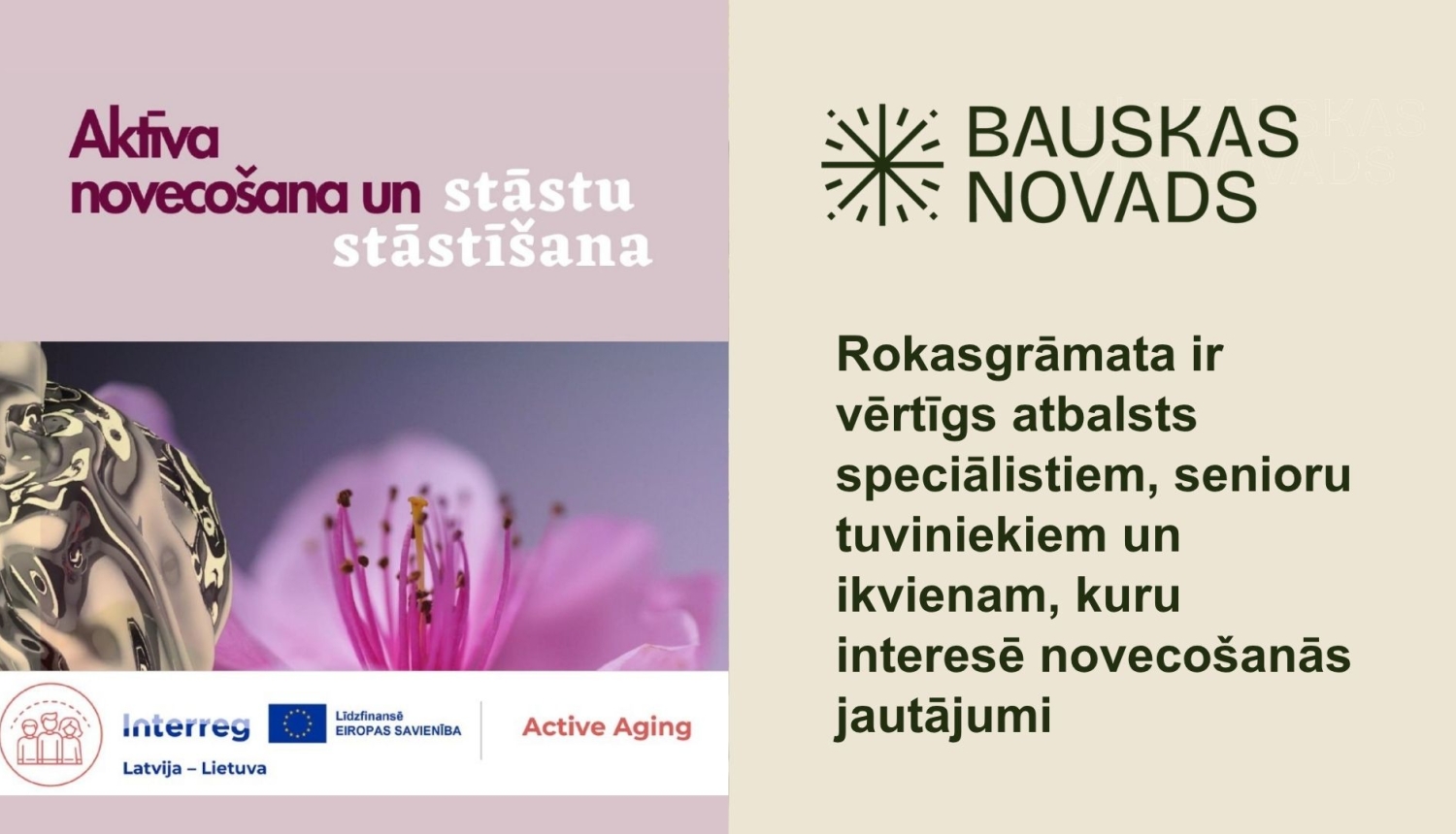 Rokasgrāmata par aktīvu novecošanu