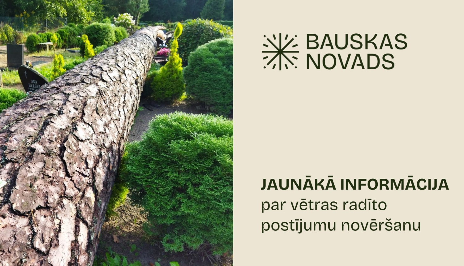25. augusta informācija par vētras seku likvidēšanu Bauskas novadā