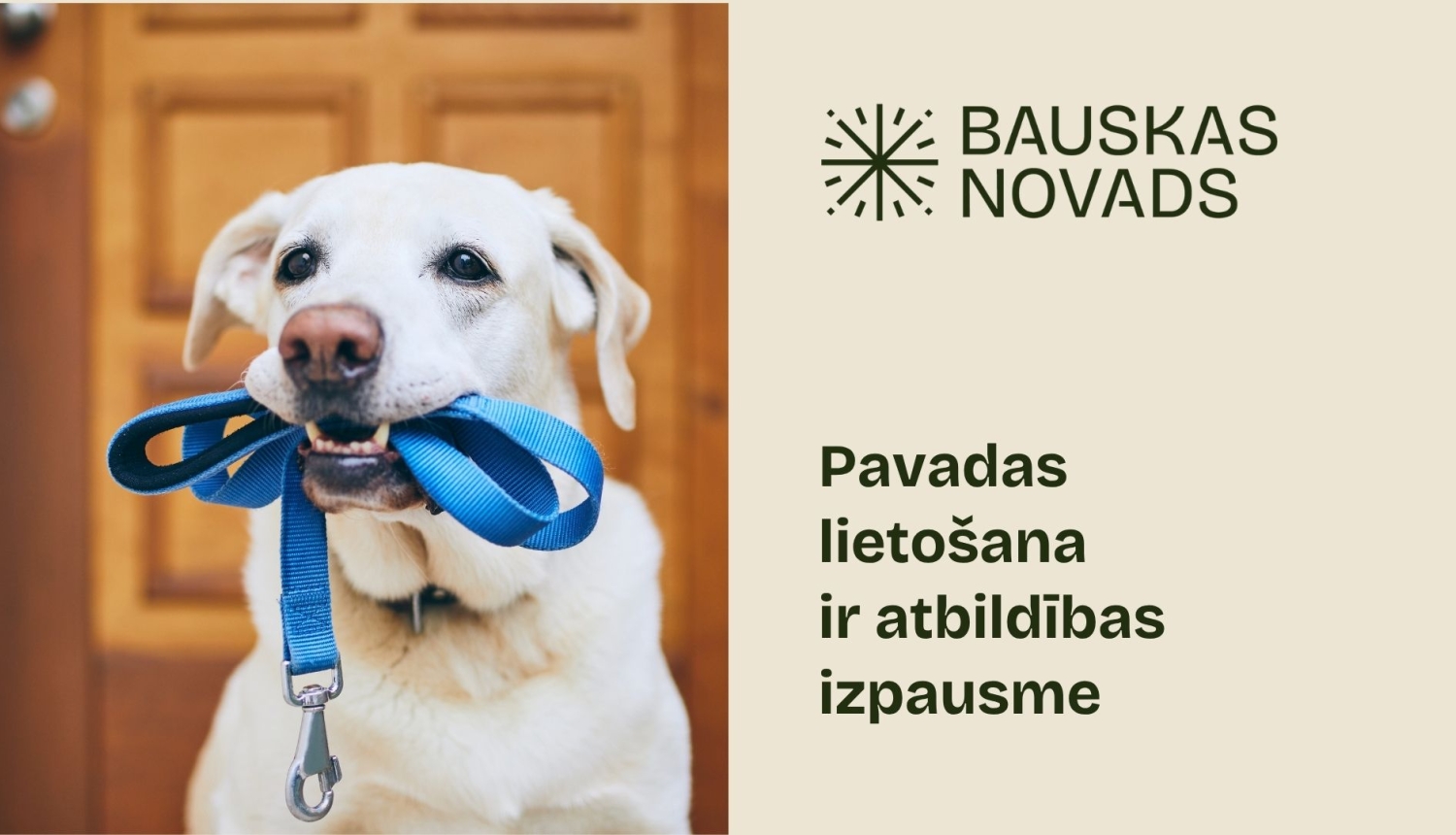 Pavada - suņa drošības josta