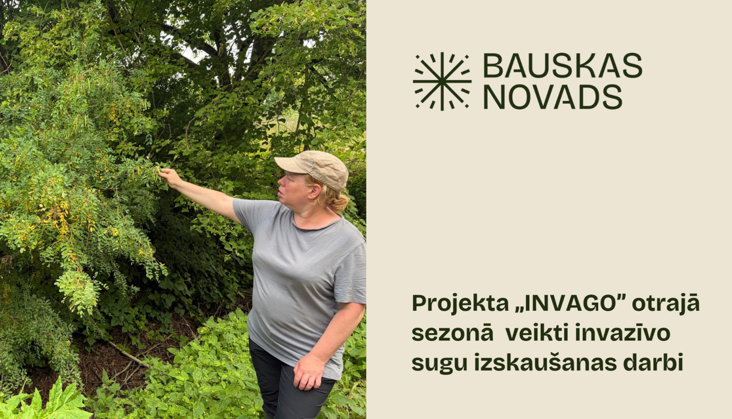 Invazivas sugas