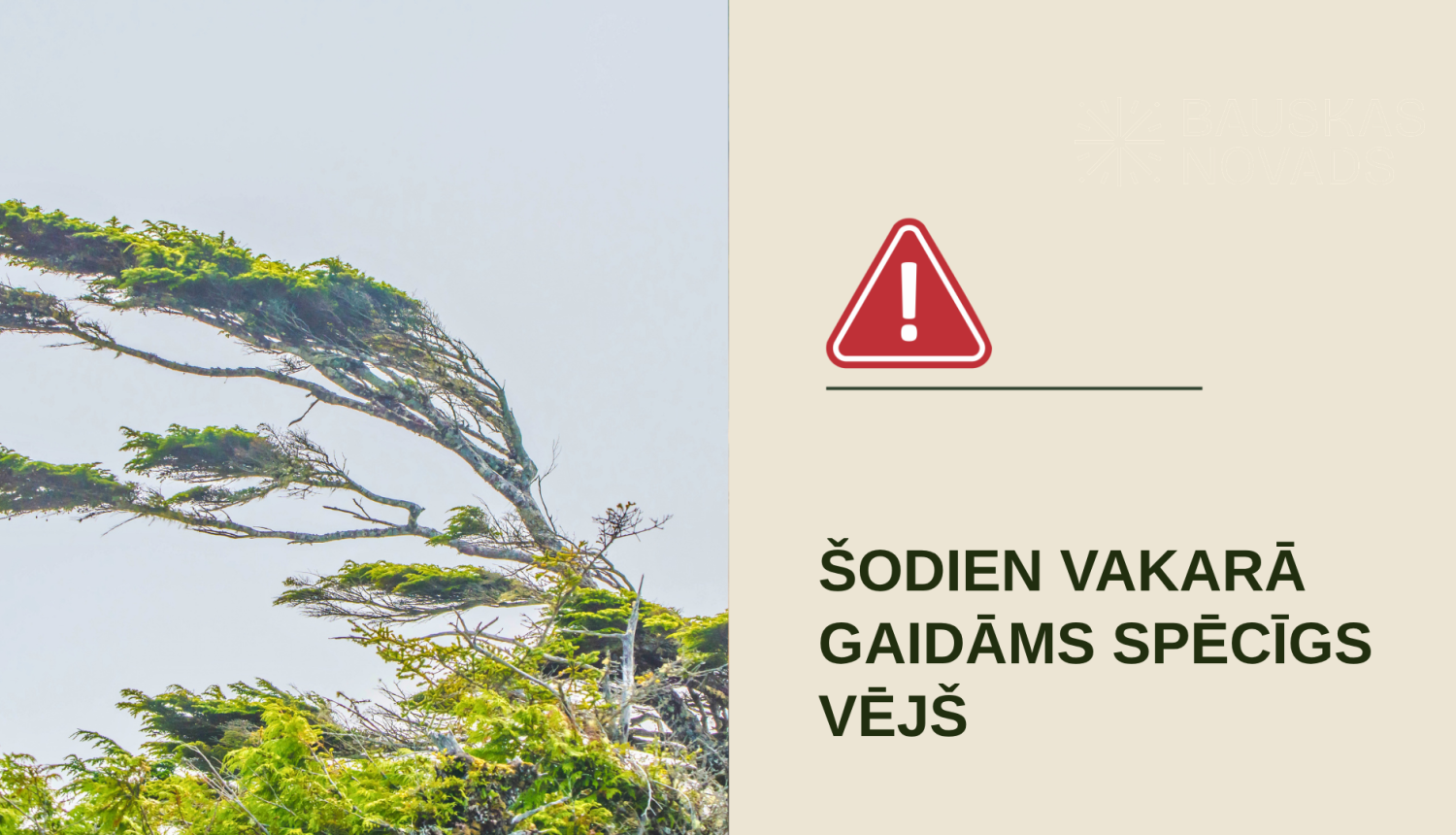 vejs