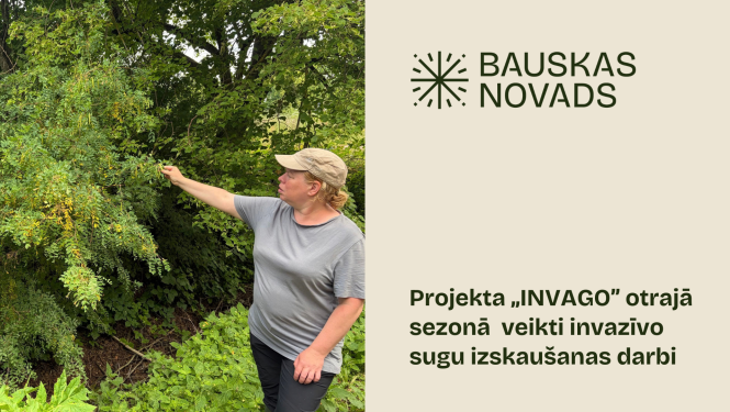 Invazivas sugas