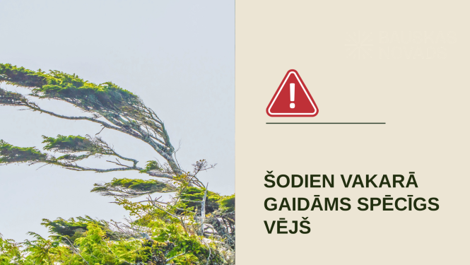 vejs