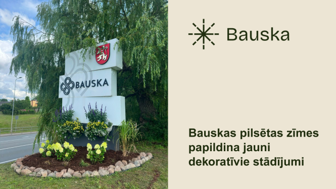 Bauskas pilsētas zīmes papildina jauni dekoratīvie stādījumi 