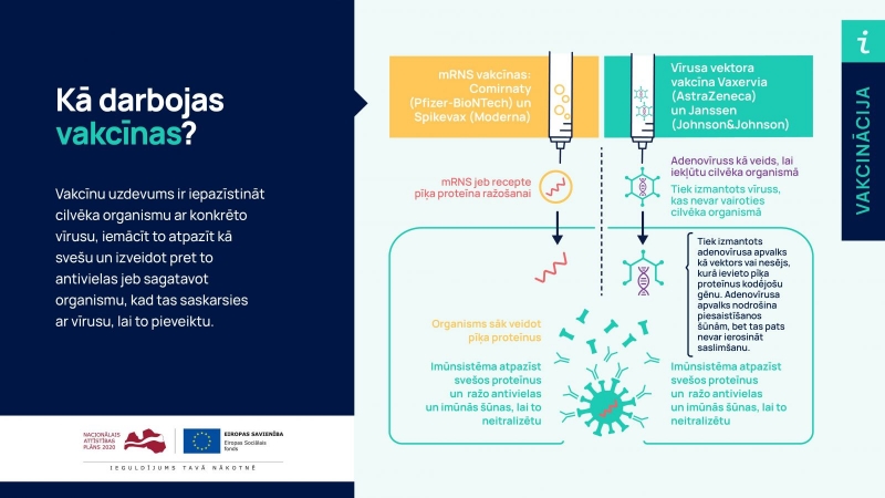 kā darbojas vakcīna