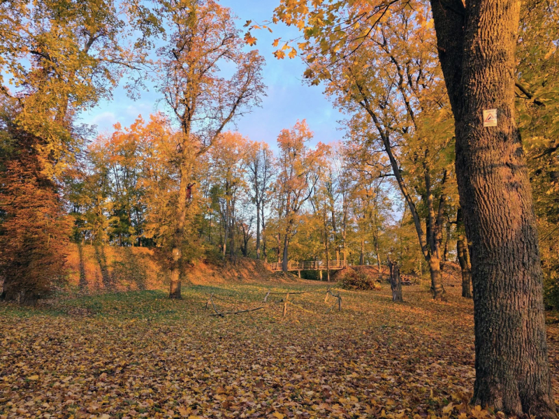 Mežotnes pilskalna projekts