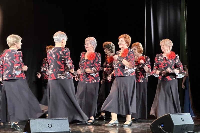 Dāmu deju kopa Kamenes