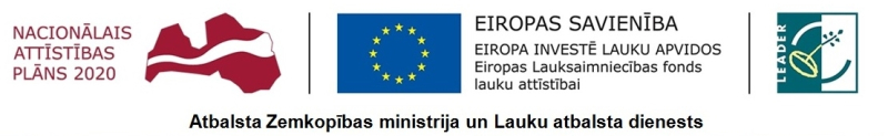 Leader logo