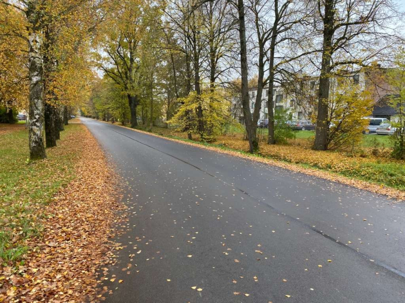 Saulaines iela Rundāles pagastā