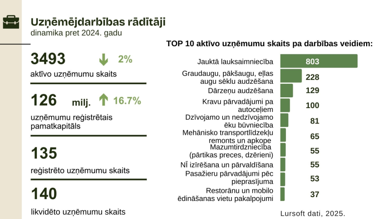 Bauskas novada uzņēmēju statistika un darbības formās