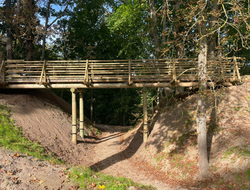 Mežotnes pilskalna projekts