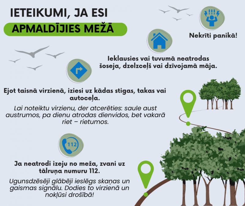 Ja esi apmaldījies mežā