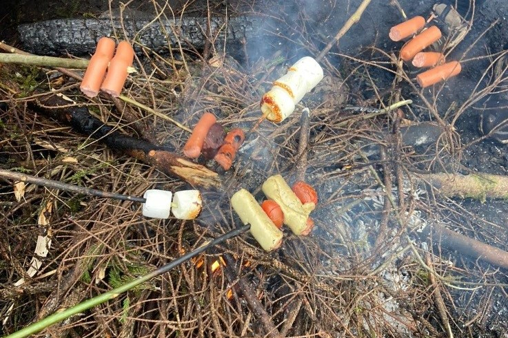 Pārgājiens